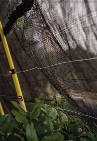 Screenshot 2025-12-30 131019